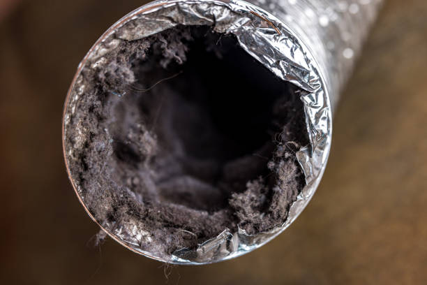 Best HVAC Duct Inspection Services  in Scotts Valley, CA